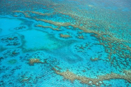 Indian Ocean Corals: Can the Reefs Outrun the Heat?